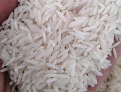 قیمت خرید برنج فجر سوزنی و فروش ویژه